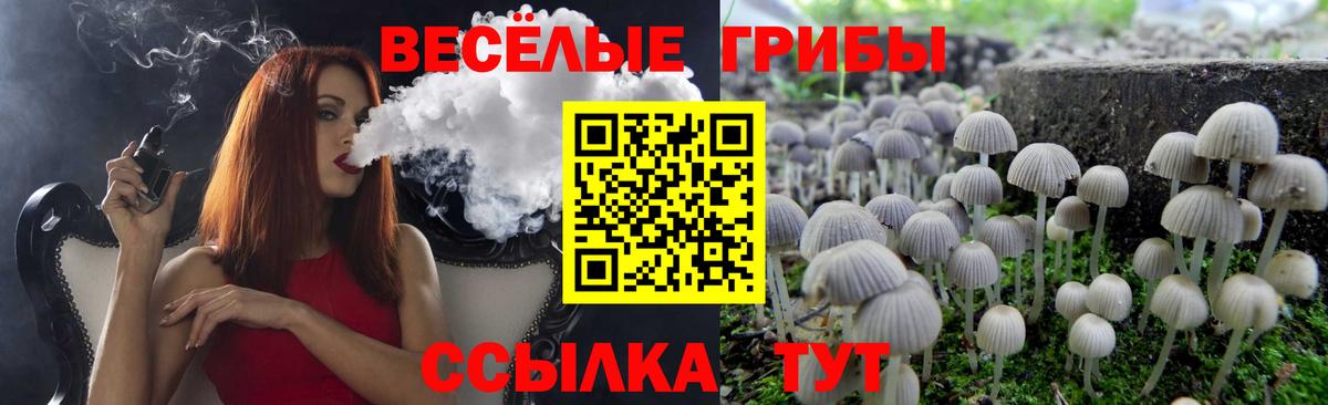 Галлюциногенные грибы Magic Shrooms Ачинск